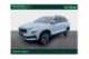 SKODA KAROQ Business