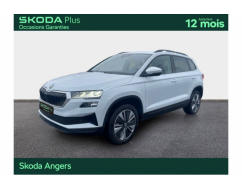 SKODA KAROQ Business