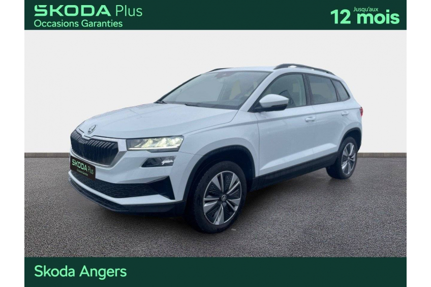 SKODA KAROQ Business