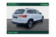 SKODA KAROQ Business