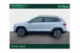 SKODA KAROQ Business