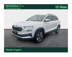 SKODA KAROQ Business