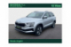 SKODA KAROQ Business