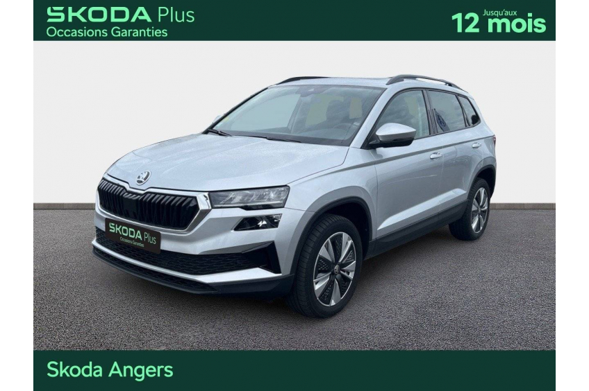 SKODA KAROQ Business