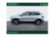 SKODA KAROQ Business