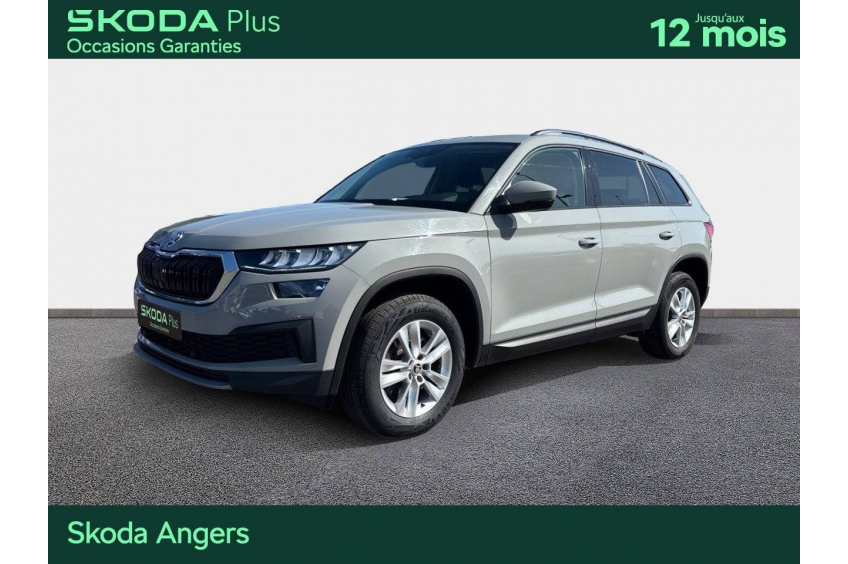 SKODA KODIAQ Business