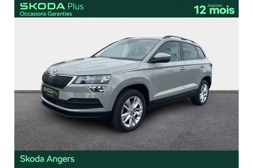 SKODA KAROQ Business