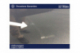 VOLKSWAGEN GOLF Life Business 1st