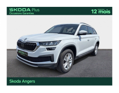 SKODA KODIAQ Business