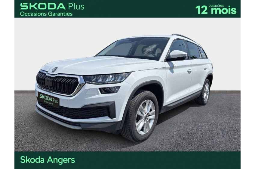 SKODA KODIAQ Business
