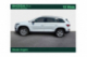 SKODA KODIAQ Business