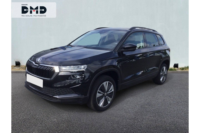 SKODA KAROQ Business