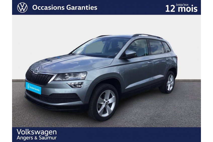 SKODA KAROQ Business