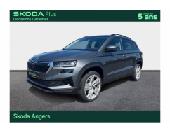 SKODA KAROQ Selection