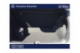 VOLKSWAGEN T-CROSS Life Tech