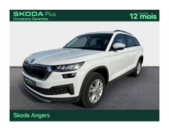 SKODA KODIAQ Business
