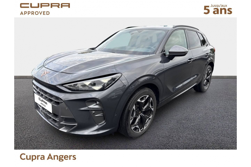 CUPRA TERRAMAR V