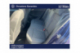 VOLKSWAGEN GOLF Life Business