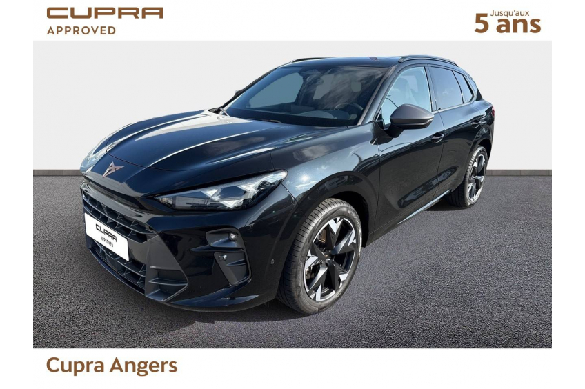 CUPRA TERRAMAR V