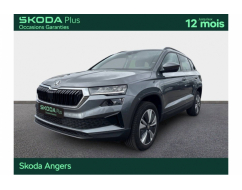 SKODA KAROQ Business
