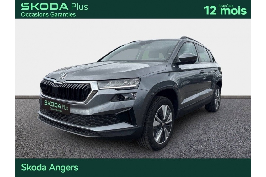 SKODA KAROQ Business