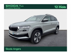 SKODA KAROQ Business