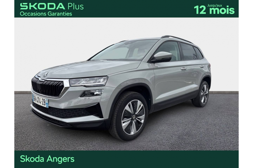 SKODA KAROQ Business