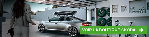 Accessoires Skoda